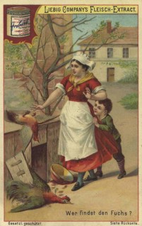 Picture series Search game puzzles, Where is the fox? In the scene, you see a woman and a child who