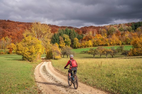 Active woman, riding her electric mountainbike in the gold colored autumn forests of the Swabian