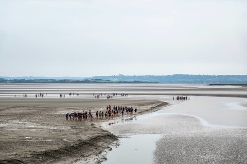Guided groups of people hiking in a mudflats at low tide in Mont Saint Michel Bay, Pontorson,
