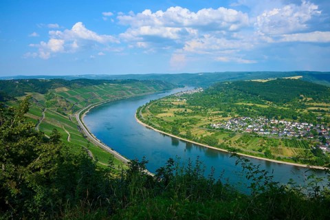 Winding river in a wine region next to a village and green hills, Rheinschleife, Rhine, Boppard,
