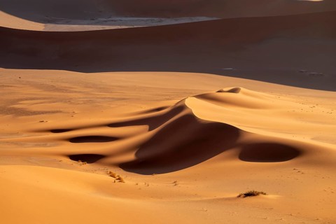 Red and yellow sand dunes of the Namib, Namib Desert, Namib-Naukluft National Park, Namibia