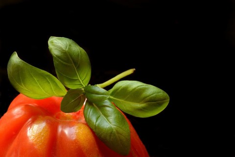 Basil leaf on oxheart tomato