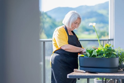 An elderly woman wearing a yellow shirt and black apron tends to vibrant flowers in a planter on a