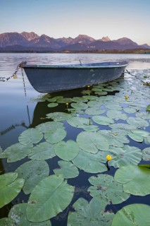 Rowing boat at sunrise, Hopfensee, Hopfen am See, near Füssen, Ostallgäu, Allgäu, Bavaria, Germany