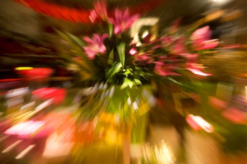 Various flowers, zoom effect