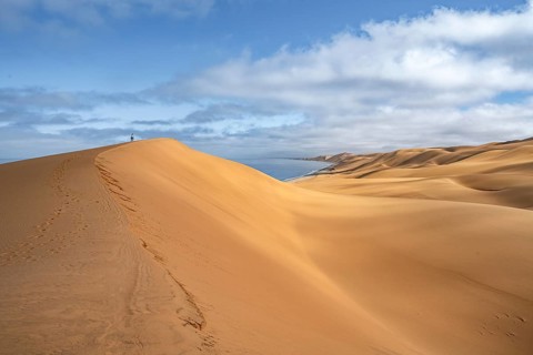 Lonely person on a dune, sand dunes and sea in morning light, Atlantic coast and sandy desert with