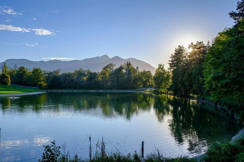 Sonnegger See, near Sittersdorf, Carinthia, Austria