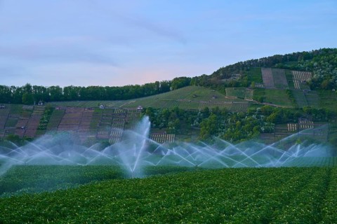 Water splashes from irrigation systems on fields in front of evening hills, Karlburg, Karlstadt,