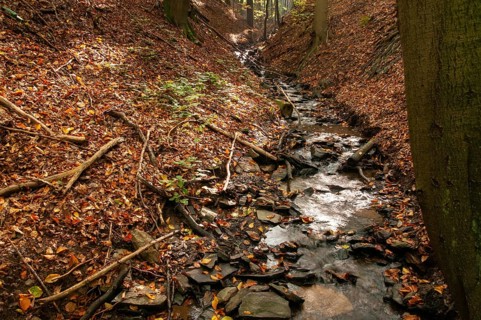 Buchenberg, Germany, Greiz, Thuringia, stream, brook, rivers, landscape, landscape, Vogtland