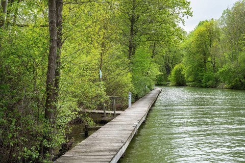 Empty pier on the Bolter Canal, deciduous forest, spring, Müritz National Park, Mecklenburg Lake