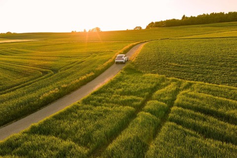 A car on a narrow road through green fields under a quiet sunset, Tesla Model Y, Gechingen, Calw