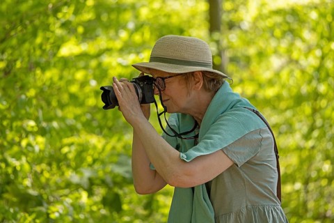 Woman taking pictures in the forest on the shores of Lake Huwenow, Meseberg, Brandenburg, Germany