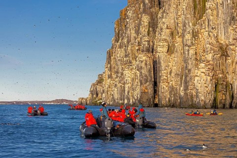 Eco-tourists in boats watch thick-billed murres, Brünnich's guillemots (Uria lomvia) nesting at