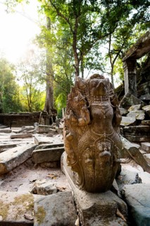 Ta Prohm, Angkor Wat, Angkor, UNESCO World Heritage Site, Siem Reap, Cambodia, Indochina, Southeast