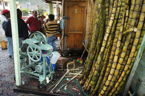 Men stand around a traditional juicer for sugar cane juice (saccharum officinarum) in a marketplace