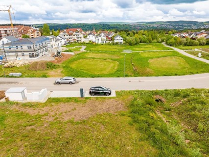 Street scene in a residential area with parked cars and surrounding greenery, Deer charging