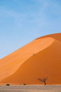 Dune 45, Large Red Sand Dune in the Namib Desert, Namib Naukluft Park, Namibia