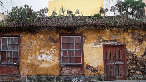 Dilapidated building with antique charm, yellow wall and weathered window and door, plants growing