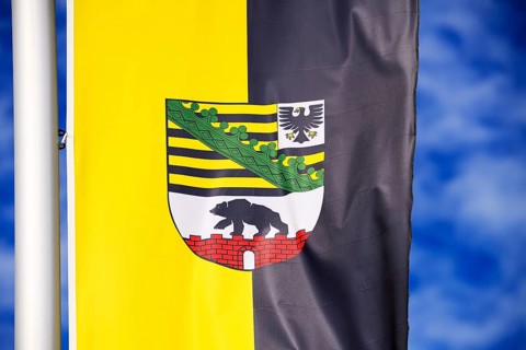 Flag of the German state of Saxony-Anhalt +++ editorial use only