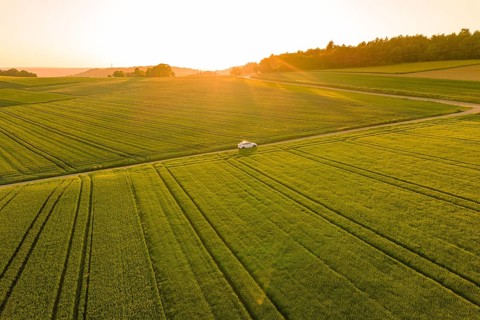 Wide green fields crossed by a road with a small white car at sunset, Tesla Model Y, Gechingen,