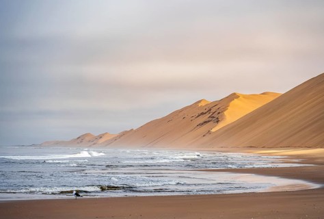 Atlantic coast with high sand dunes, Namib desert and sea, desert landscape, Namib Naukluft Park,