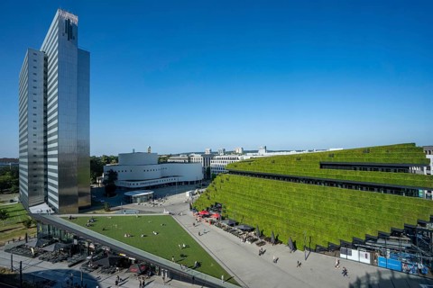 Green façade, consisting of over 30, 000 hornbeams, a good 8 kilometers long hedge, on the roof and