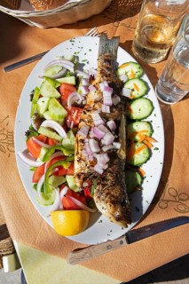 Grilled sea bream or bream mackerel or pomfret or goldhead on fresh Greek salad, Crete, Greece
