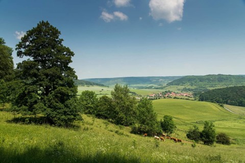 Germany, Gleistal, Jenalöbnitz, Thuringia, Thuringia, cultural landscape, landscape