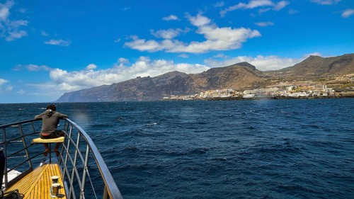 Los Gigantes, A boy enjoying the view of the sea and the mountain landscape from the ship, whale