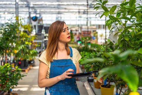 Female professional gardener working in a plant nursery, checking inventory and managing tasks on a