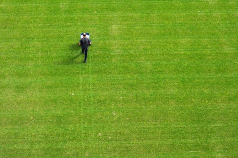 Groundsman spreads artificial fertilizer for grass on a football pitch in Lubin, Poland