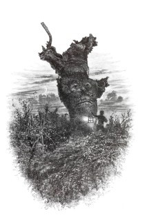 Distinctive trees, natural monument, 19th century illustration depicting the famous monkey tree, in