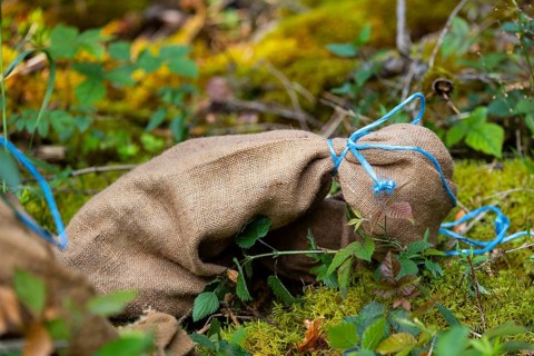 Fawn in a jute sack, fawn rescue, (Capreolus capreolus), Buchheim, Upper Danube nature park Park,