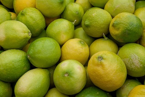 A bunch of fresh lemons and limes in various shades of green and yellow colors, Tenerife, Canary