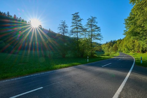 Morning light floods a country road surrounded by trees and nature, fellen, Ruppertshütten,