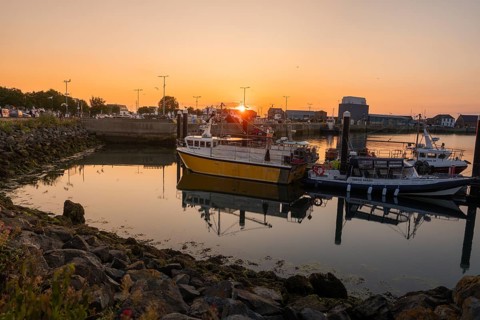 Harbour with fishing boats and rocks, sunset creates a relaxed atmosphere, Howth, Ireland
