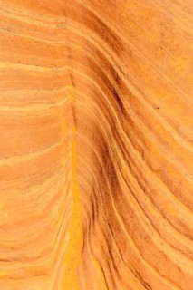 Sandstone rock formation presenting a textured surface with flowing wavy lines and rich orange,