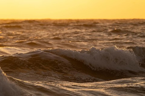 Breaking wave in evening light, surf, Houvig Beach, North Sea, Denmark