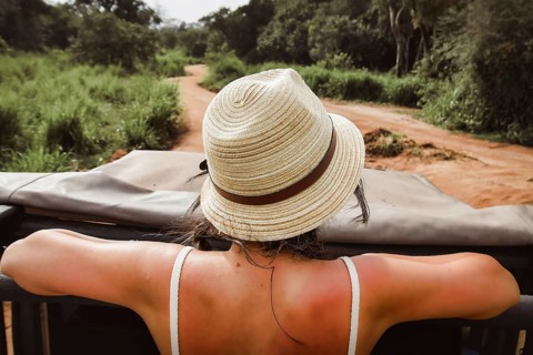 Tourist woman in safari tour vehicle watching searching wild Asian elephants in grassland wildlife