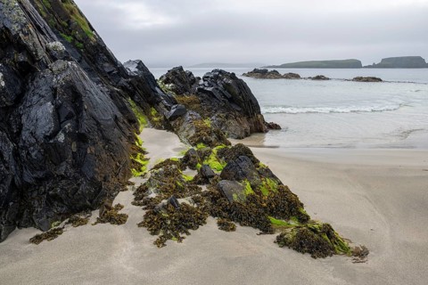 Rocks covered with seaweed in the intertidal zone at the Tombolo to St Ninian's Isle, Shetland