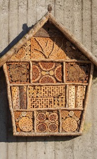 Textured insect hotel made of wood materials mounted on a wall, Münsterland, North