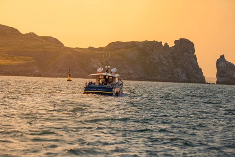 Boat glides across the sea in evening light, accompanied by impressive cliffs, Howth, Ireland