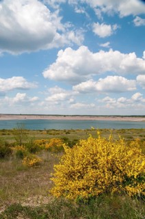 2008, Brandenburg, Germany, Nabu, Nabu project, national natural heritage, natural paradise