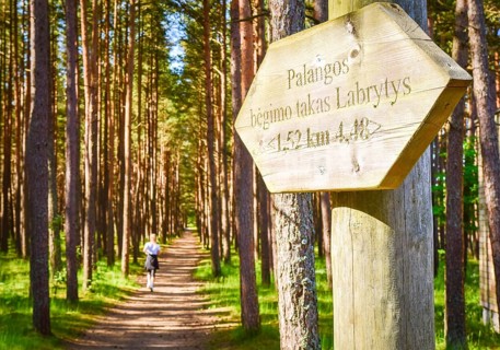 Woman runner run on famous running trail in pine forest in Palanga holiday summer resort. Lithuania