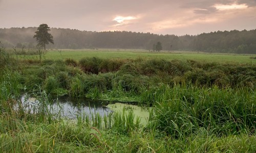 Barnim, Brandenburg, FFH area, Finow Valley, Finowtal-Pregnitzfließ, Germany, Natura 2000, Barnim