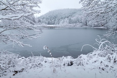 Germany, Greiz, Steinermühle, Thuringia, Thuringia, ice, landscape, snow, Steinermühlenteich,