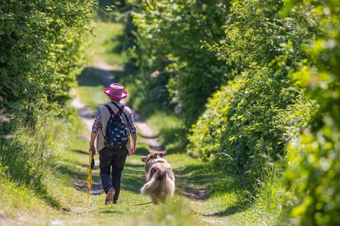 A woman with her dog wanders through the countryside of the Swabian Jura in spring. Neuffener Heide