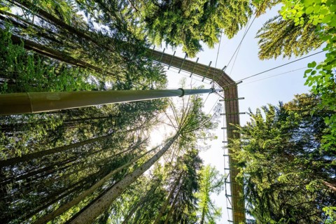 View from below of a treetop path that runs through the trees, Waldwelt Skywalk Allgäu, Scheidegg,