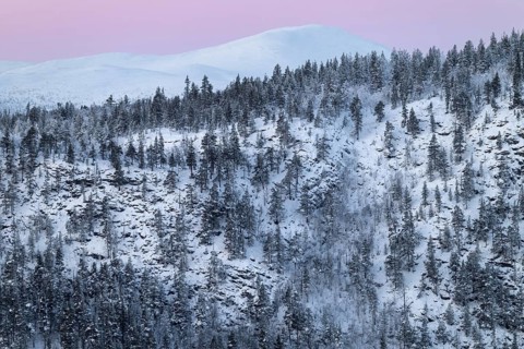 Snowy mountain ranges, Alvdal Vestfjell, Hedmark, Innlandet, Norway, January 2026