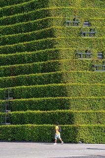 Green façade, made of over 30, 000 hornbeams, a good 8 kilometers long hedge, on the roof and the